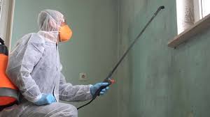 Best Mold Odor Removal Services  in Refugio, TX